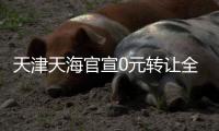 快排公司十年历程，霸屏兔 seo 的崛起与坚守