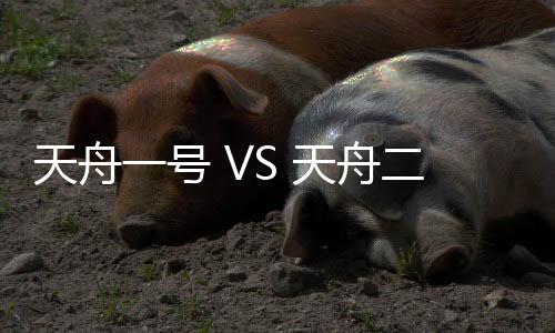 图
：天舟二号货运飞船