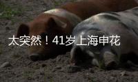 快排公司十年历程，霸屏兔 seo 的崛起与坚守