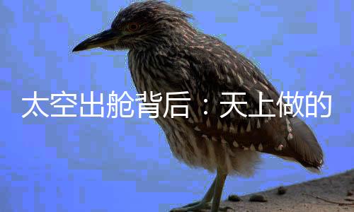 最里层名为双层压力面窗