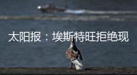 快排公司十年历程，霸屏兔 seo 的崛起与坚守