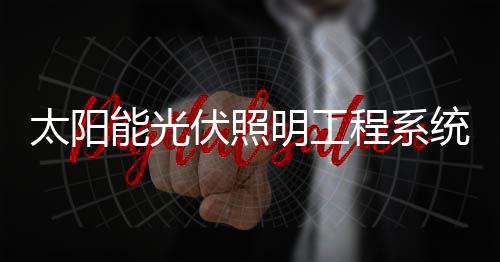 赢得一个又一个的伏照项目