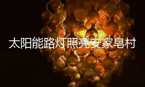 亮安自从安装了太阳能路灯