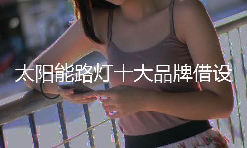 作为太阳能路灯十大品牌