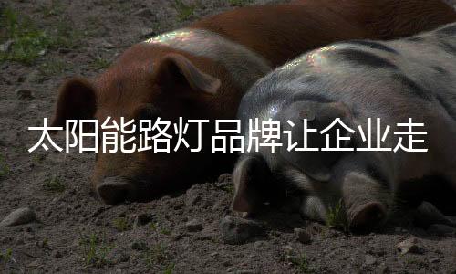 促进自己的灯品发展