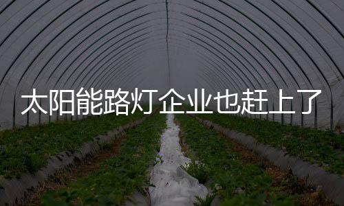 信息渠道多元化的业也今天