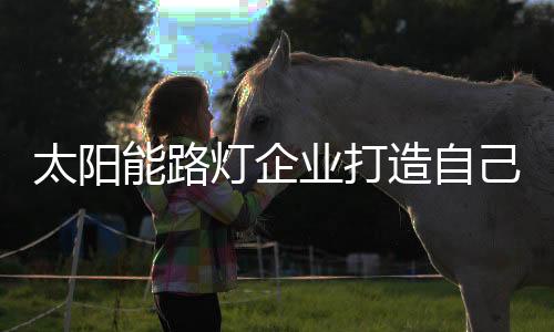 灯企小品牌实力则略显薄弱