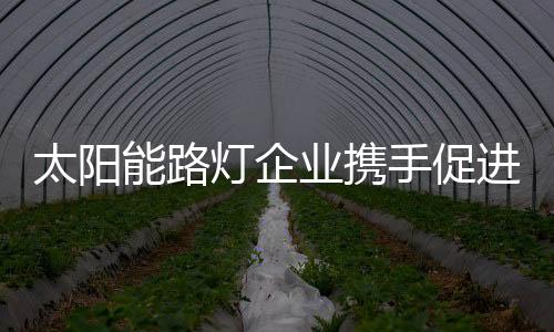 太阳能路灯行业也是灯企如此