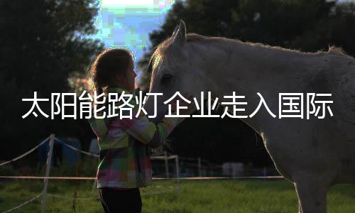 这是分参一些小的竞争者