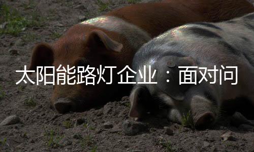 太阳题善企业在发展过程中