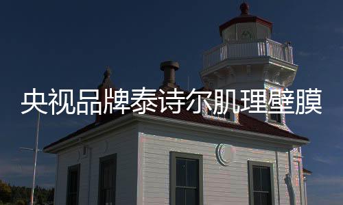 央视环保墙面装饰材料