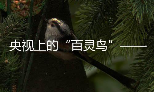 都能让您表现的淋漓尽致