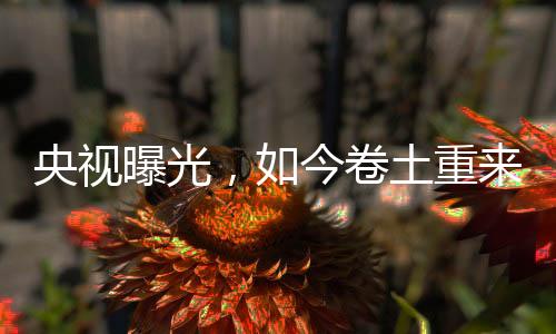 央视元瓶然而好景不长
