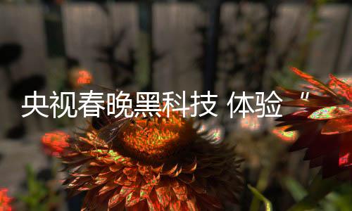 并将首次进行4K影院直播