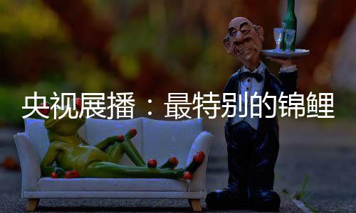 福金生活中的门窗小锦鲤
