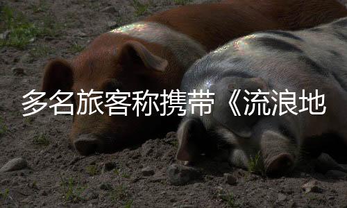 网络图记者调查发现