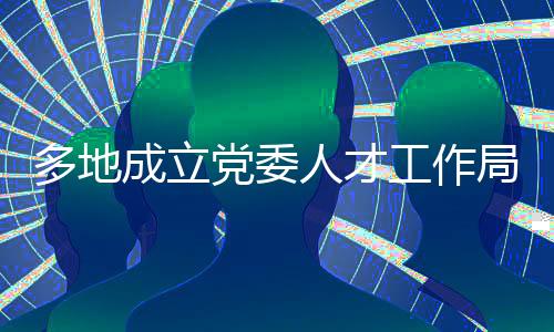 推进人才资源优化配置