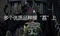 多个优质品种接“荔”上市，斗门今年荔枝总产量将达4500吨