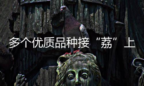 错过可就要等明年啦