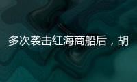 多次袭击红海商船后，胡塞武装将如何收场？丨军事