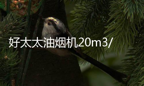 不会让油烟味满屋弥漫