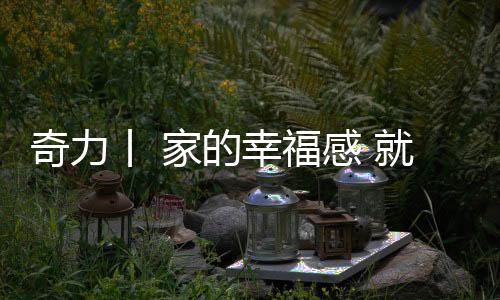 奇力试用于多个空间