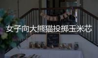 女子向大熊猫投掷玉米芯 成都熊猫谷通报：终生禁入