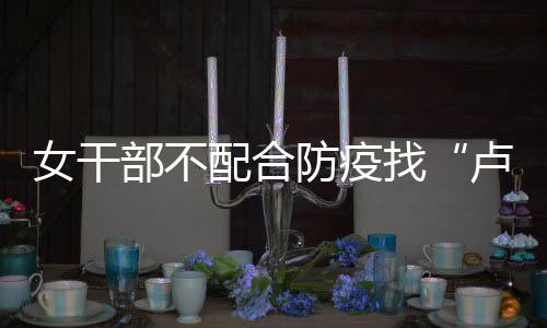 卢书记造成严重不良影响