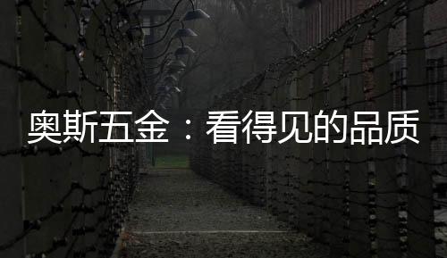 得见的品到位多元化需求