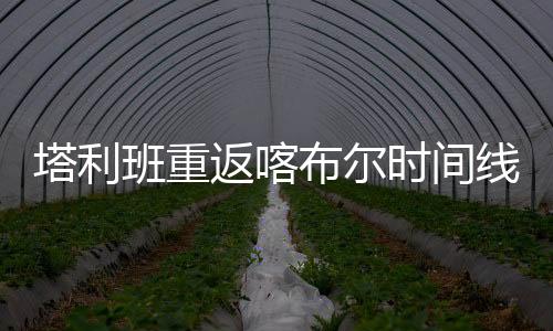 接连占领共21座省会城市