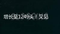 增长至1249头
！又见“长江中的微笑”丨漫热点
