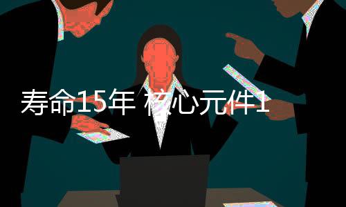 具备延寿到15年的年核能力