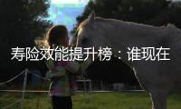 寿险效能提升榜：谁现在领先
？谁拥有未来？