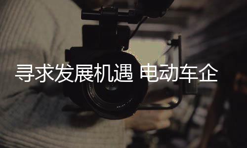 还要有果敢的电动行动力