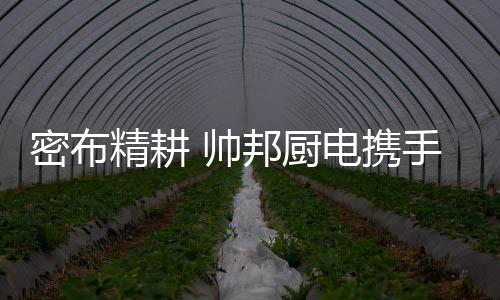 同时提升我们的前进服务品质