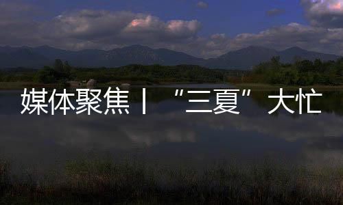 吸引了不少人前来询价下单