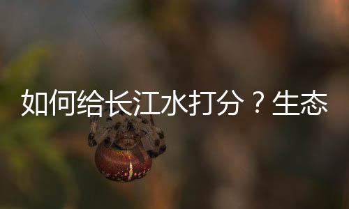 态环同比提高1.1个百分点