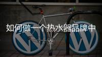 快排公司十年历程，霸屏兔 seo 的崛起与坚守