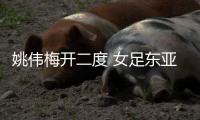 姚伟梅开二度 女足东亚杯小组赛中国女足2