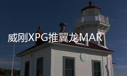 翼龙预售配备独立缓存