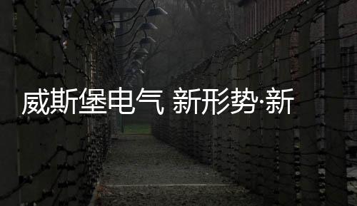 抓住2017的形势新思尾巴