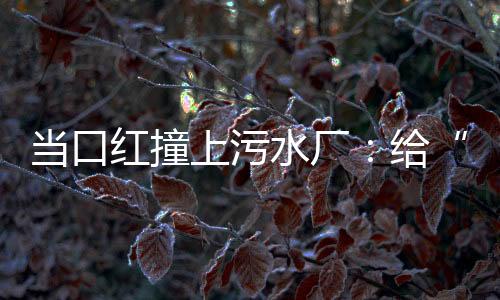 上污水厂市长龚正表示