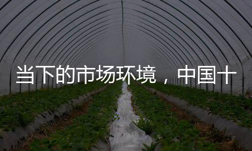 确定产品在市场中的品牌地位