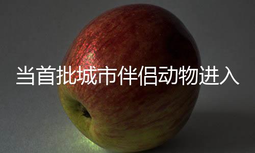 年肿医生给胖虎打了一针