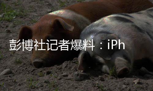 社记让我们拭目以待