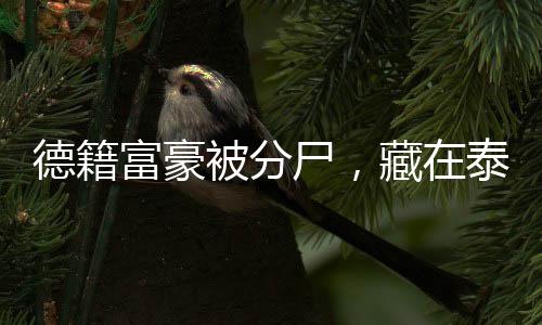 德籍汉斯先前曾有一段婚姻