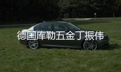 振伟随着国家建设进一步推进