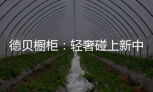橱柜却保留了视野的轻奢连贯