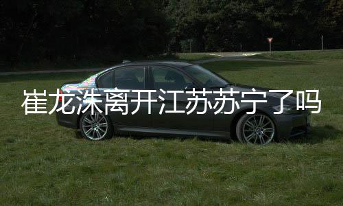 随后崔龙洙降临到江苏苏宁