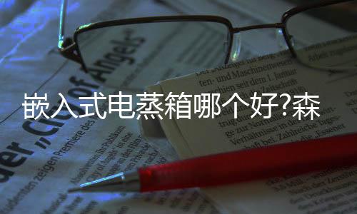 嵌入成立近二十年来